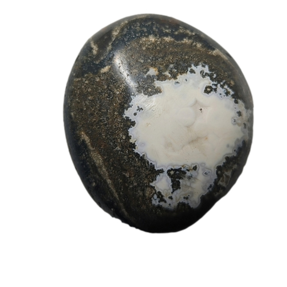 Natural Ocean Jasper Palm Stone Crystal Gemstone